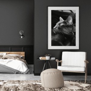 Silhouette Intemporelle