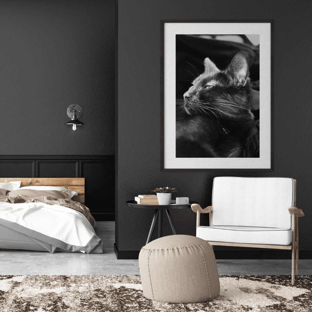 Silhouette Intemporelle