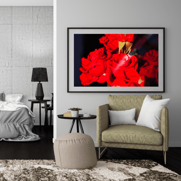 Élégance Écarlate